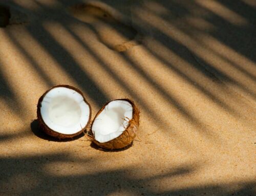 Kokosöl – So gesund ist es auf der Haut